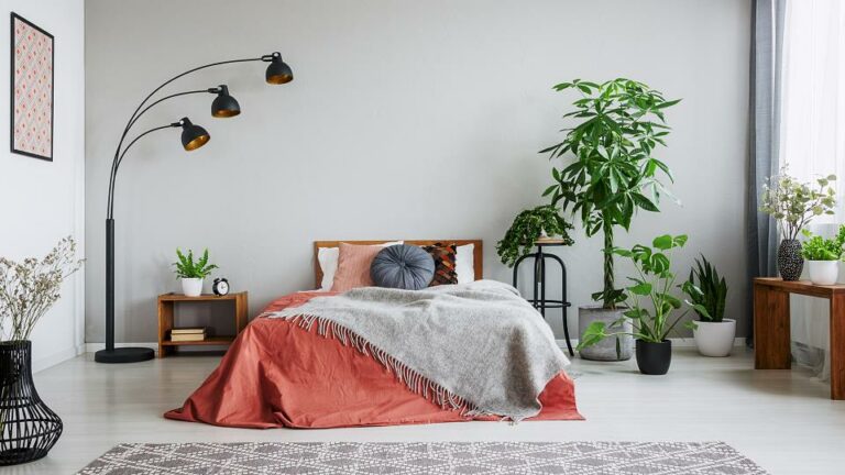 Pflanzen im Schlafzimmer Früher verpönt und heute ein Trend › Bettinfo